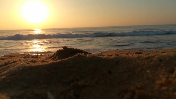 Sunrise Atlantic Ocean Ocean Waves Flowing Landscape Motion Video Sea — Stock Video