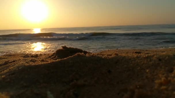 Soluppgång Över Atlanten Havsvågor Som Flödar Landskapsrörelse Video Hav Och — Stockvideo