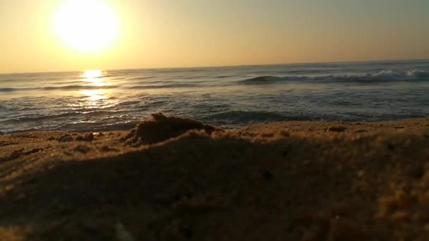 海の海岸で早朝の日の出 青い波が流れている カラフルな冬の日の出 風景の中でバルト海の上に冷たい嵐の波と雲 地面に当たる黄金の海の波 海の波の動き 波の波の風景 — ストック動画