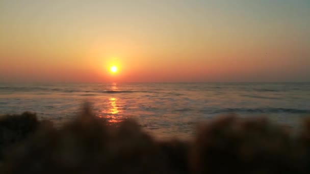 Dramatische Zee Zonsopgang Brandende Lucht Stralende Gouden Golven Zee Zonsondergang — Stockvideo