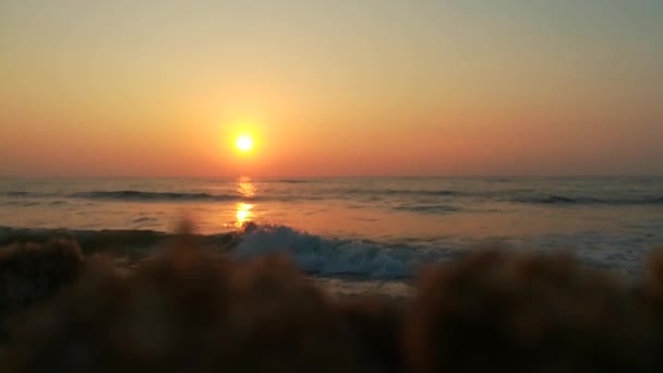 Dramatisk Soluppgång Brinnande Himmel Och Lysande Gyllene Vågor Havssolnedgången Havsvågor — Stockvideo