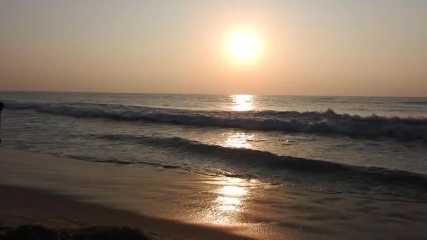 태양은 태평양 황금빛 오렌지색 일몰을 느리게 광각으로 바라본다 해변의 야자수 — 비디오