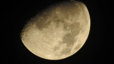 Dolunay, Ay 'ın Dünya' dan tamamen aydınlatıldığı zaman meydana gelen bir evredir. Büyük ay tam safhasında, kenarlarında siyah bir arka planda görünen detaylı kraterlerle.,