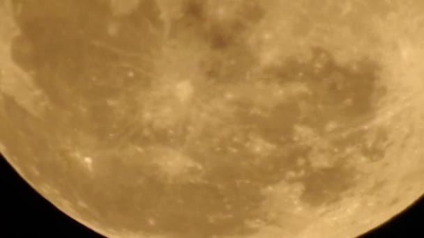 Полнолуние Лунная Фаза Которая Происходит Луна Полностью Освещена Видно Земли — стоковое видео
