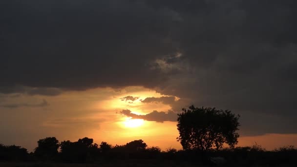 Krásná Podzimní Krajina Timelapse Slunce Svítí Během Sunny Sunset Evening — Stock video