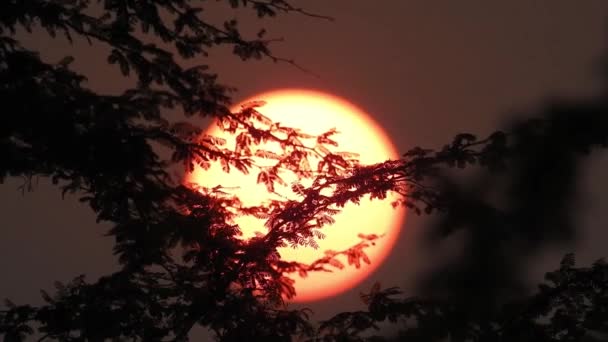 Piękny Jesienny Krajobraz Timelapse Słońce Świeci Podczas Słonecznego Wieczora Spokojny — Wideo stockowe
