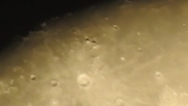 Повний Місяць Місячна Фаза Яка Відбувається Коли Місяць Повністю Освітлений — стокове відео
