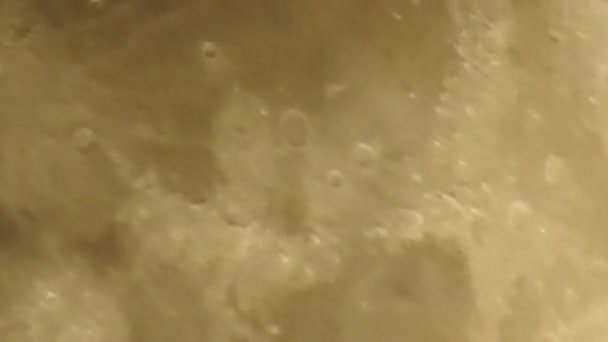Полнолуние Лунная Фаза Которая Происходит Луна Полностью Освещена Видно Земли — стоковое видео
