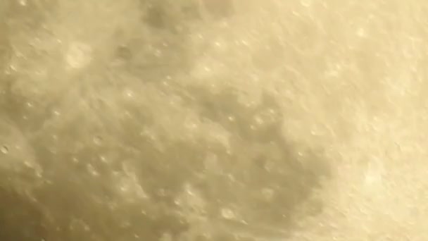 Telihold Holdfázis Amikor Hold Teljesen Megvilágosodik Ahogy Azt Földről Látjuk — Stock videók