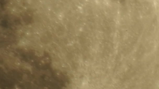 Full Moon Lunar Phase Occurs Moon Completely Illuminated Seen Earth — Stock Video