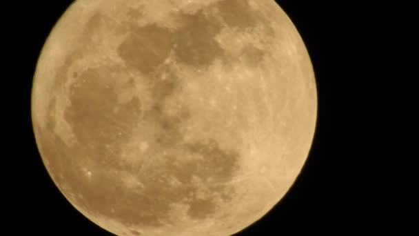 満月は 月が地球から見られるように完全に照らされる時に起こる月の段階です 大きな月がその完全な段階で その縁に詳細なクレーターが見え すべて黒い背景で見えます — ストック動画