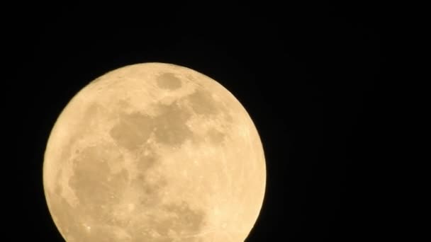 Full Moon 是月球在地球上被完全照亮时的月相 边缘可见详细的陨石坑 全部为黑色背景 — 图库视频影像