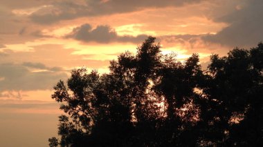 Günbatımı fotoğrafı, gün batımında bulutlu gökyüzü. Bulutlar ve mavi gökyüzü. Tasarım ve arkaplan için panoramik fotoğraf. Çöl batımı, günbatımında suya yansıyan ağaç ve binalarla ufuk çizgisi manzarası. Altın Günbatımı Bulutları. Renkli turuncu gün batımı. 