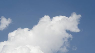 Çam ağaçlarının üzerindeki bulutlarla kaplı bulutlu bir gökyüzü. Fırtına Öncesi Gökyüzü Kara Bulutlarla kaplıdır. Güçlü hava akımlarıyla Kuşlar Gökyüzüne Yükseliyor. Kuşlar gökyüzünde uçuyor. Gökteki Kuşlar Kara Uğursuz Yağmur Bulutları. Beyaz ve gri görünüm