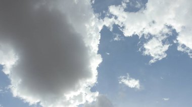 Çam ağaçlarının üzerindeki bulutlarla kaplı bulutlu bir gökyüzü. Fırtına Öncesi Gökyüzü Kara Bulutlarla kaplıdır. Güçlü hava akımlarıyla Kuşlar Gökyüzüne Yükseliyor. Kuşlar gökyüzünde uçuyor. Gökteki Kuşlar Kara Uğursuz Yağmur Bulutları. Beyaz ve gri görünüm