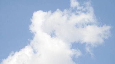 Çam ağaçlarının üzerindeki bulutlarla kaplı bulutlu bir gökyüzü. Fırtına Öncesi Gökyüzü Kara Bulutlarla kaplıdır. Güçlü hava akımlarıyla Kuşlar Gökyüzüne Yükseliyor. Kuşlar gökyüzünde uçuyor. Gökteki Kuşlar Kara Uğursuz Yağmur Bulutları. Beyaz ve gri görünüm