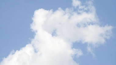 Çam ağaçlarının üzerindeki bulutlarla kaplı bulutlu bir gökyüzü. Fırtına Öncesi Gökyüzü Kara Bulutlarla kaplıdır. Güçlü hava akımlarıyla Kuşlar Gökyüzüne Yükseliyor. Kuşlar gökyüzünde uçuyor. Gökteki Kuşlar Kara Uğursuz Yağmur Bulutları. Beyaz ve gri görünüm