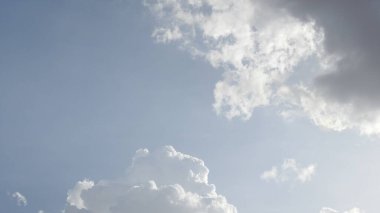 Çam ağaçlarının üzerindeki bulutlarla kaplı bulutlu bir gökyüzü. Fırtına Öncesi Gökyüzü Kara Bulutlarla kaplıdır. Güçlü hava akımlarıyla Kuşlar Gökyüzüne Yükseliyor. Kuşlar gökyüzünde uçuyor. Gökteki Kuşlar Kara Uğursuz Yağmur Bulutları. Beyaz ve gri görünüm