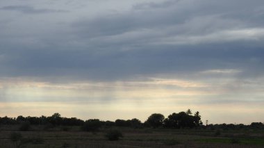 Çam ağaçlarının üzerindeki bulutlarla kaplı bulutlu bir gökyüzü. Fırtına Öncesi Gökyüzü Kara Bulutlarla kaplıdır. Güçlü hava akımlarıyla Kuşlar Gökyüzüne Yükseliyor. Kuşlar gökyüzünde uçuyor. Gökteki Kuşlar Kara Uğursuz Yağmur Bulutları. Beyaz ve gri görünüm