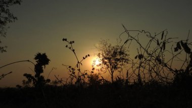 Gölde gün batımında insanların, ağaçların ve teknelerin silueti gün batımında bir arabanın üzerinde dans eden çocukların güzel silueti altın gökyüzü ve siluetli ağaçlar. Çocukların gölgesi parkta birlikte duruyor. Gün batımı gökyüzü ve ağaçlar manzarası.