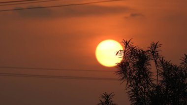 Gölde gün batımında insanların, ağaçların ve teknelerin silueti gün batımında bir arabanın üzerinde dans eden çocukların güzel silueti altın gökyüzü ve siluetli ağaçlar. Çocukların gölgesi parkta birlikte duruyor. Gün batımı gökyüzü ve ağaçlar manzarası.