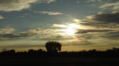 Gölde gün batımında insanların, ağaçların ve teknelerin silueti gün batımında bir arabanın üzerinde dans eden çocukların güzel silueti altın gökyüzü ve siluetli ağaçlar. Çocukların gölgesi parkta birlikte duruyor. Gün batımı gökyüzü ve ağaçlar manzarası.