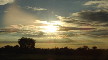 Gölde gün batımında insanların, ağaçların ve teknelerin silueti gün batımında bir arabanın üzerinde dans eden çocukların güzel silueti altın gökyüzü ve siluetli ağaçlar. Çocukların gölgesi parkta birlikte duruyor. Gün batımı gökyüzü ve ağaçlar manzarası.