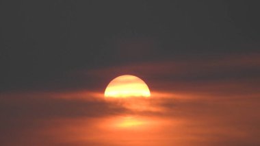Siluet günbatımı. Düz ufuk ve ağaçlarla mükemmel renkli günbatımı. Palmiye ağaçları ve sudaki insanların siluetleri. Güzel sahil manzarasında gün batımında birçok insan gün batımından önce denize oynamaya gelir. Sahilde günbatımının silueti.