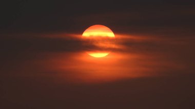 Siluet günbatımı. Düz ufuk ve ağaçlarla mükemmel renkli günbatımı. Palmiye ağaçları ve sudaki insanların siluetleri. Güzel sahil manzarasında gün batımında birçok insan gün batımından önce denize oynamaya gelir. Sahilde günbatımının silueti.