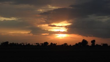 Siluet günbatımı. Düz ufuk ve ağaçlarla mükemmel renkli günbatımı. Palmiye ağaçları ve sudaki insanların siluetleri. Güzel sahil manzarasında gün batımında birçok insan gün batımından önce denize oynamaya gelir. Sahilde günbatımının silueti.