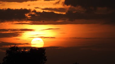 Siluet günbatımı. Düz ufuk ve ağaçlarla mükemmel renkli günbatımı. Palmiye ağaçları ve sudaki insanların siluetleri. Güzel sahil manzarasında gün batımında birçok insan gün batımından önce denize oynamaya gelir. Sahilde günbatımının silueti.