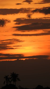Siluet günbatımı. Düz ufuk ve ağaçlarla mükemmel renkli günbatımı. Palmiye ağaçları ve sudaki insanların siluetleri. Güzel sahil manzarasında gün batımında birçok insan gün batımından önce denize oynamaya gelir. Sahilde günbatımının silueti.