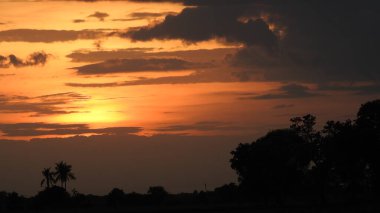 Siluet günbatımı. Düz ufuk ve ağaçlarla mükemmel renkli günbatımı. Palmiye ağaçları ve sudaki insanların siluetleri. Güzel sahil manzarasında gün batımında birçok insan gün batımından önce denize oynamaya gelir. Sahilde günbatımının silueti.