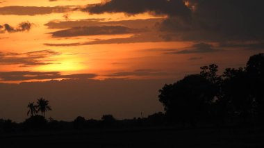 Siluet günbatımı. Düz ufuk ve ağaçlarla mükemmel renkli günbatımı. Palmiye ağaçları ve sudaki insanların siluetleri. Güzel sahil manzarasında gün batımında birçok insan gün batımından önce denize oynamaya gelir. Sahilde günbatımının silueti.