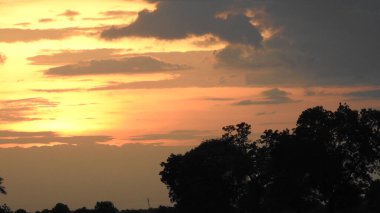 Siluet günbatımı. Düz ufuk ve ağaçlarla mükemmel renkli günbatımı. Palmiye ağaçları ve sudaki insanların siluetleri. Güzel sahil manzarasında gün batımında birçok insan gün batımından önce denize oynamaya gelir. Sahilde günbatımının silueti.