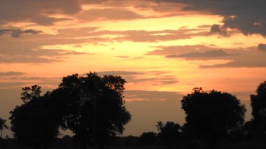 Siluet günbatımı. Düz ufuk ve ağaçlarla mükemmel renkli günbatımı. Palmiye ağaçları ve sudaki insanların siluetleri. Güzel sahil manzarasında gün batımında birçok insan gün batımından önce denize oynamaya gelir. Sahilde günbatımının silueti.