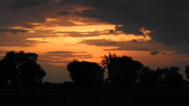 Siluet günbatımı. Düz ufuk ve ağaçlarla mükemmel renkli günbatımı. Palmiye ağaçları ve sudaki insanların siluetleri. Güzel sahil manzarasında gün batımında birçok insan gün batımından önce denize oynamaya gelir. Sahilde günbatımının silueti.