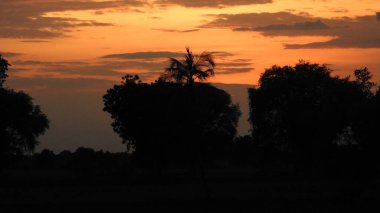 Siluet günbatımı. Düz ufuk ve ağaçlarla mükemmel renkli günbatımı. Palmiye ağaçları ve sudaki insanların siluetleri. Güzel sahil manzarasında gün batımında birçok insan gün batımından önce denize oynamaya gelir. Sahilde günbatımının silueti.