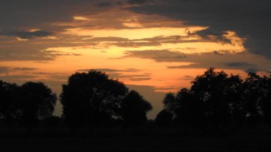 Siluet günbatımı. Düz ufuk ve ağaçlarla mükemmel renkli günbatımı. Palmiye ağaçları ve sudaki insanların siluetleri. Güzel sahil manzarasında gün batımında birçok insan gün batımından önce denize oynamaya gelir. Sahilde günbatımının silueti.