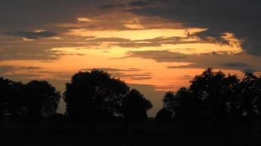 Siluet günbatımı. Düz ufuk ve ağaçlarla mükemmel renkli günbatımı. Palmiye ağaçları ve sudaki insanların siluetleri. Güzel sahil manzarasında gün batımında birçok insan gün batımından önce denize oynamaya gelir. Sahilde günbatımının silueti.