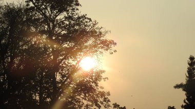 Siluet günbatımı. Düz ufuk ve ağaçlarla mükemmel renkli günbatımı. Palmiye ağaçları ve sudaki insanların siluetleri. Güzel sahil manzarasında gün batımında birçok insan gün batımından önce denize oynamaya gelir. Sahilde günbatımının silueti.