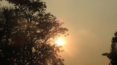 Siluet günbatımı. Düz ufuk ve ağaçlarla mükemmel renkli günbatımı. Palmiye ağaçları ve sudaki insanların siluetleri. Güzel sahil manzarasında gün batımında birçok insan gün batımından önce denize oynamaya gelir. Sahilde günbatımının silueti.