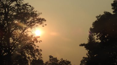 Siluet günbatımı. Düz ufuk ve ağaçlarla mükemmel renkli günbatımı. Palmiye ağaçları ve sudaki insanların siluetleri. Güzel sahil manzarasında gün batımında birçok insan gün batımından önce denize oynamaya gelir. Sahilde günbatımının silueti.