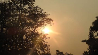 Siluet günbatımı. Düz ufuk ve ağaçlarla mükemmel renkli günbatımı. Palmiye ağaçları ve sudaki insanların siluetleri. Güzel sahil manzarasında gün batımında birçok insan gün batımından önce denize oynamaya gelir. Sahilde günbatımının silueti.