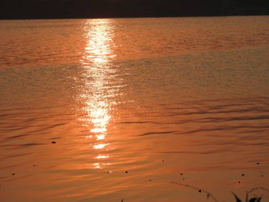 Gün batımında gökyüzüne karşı palmiye ağaçlarının siluetleri. Savana gün batımı, Güzel Tatil Günbatımı, Palmiye Ağaçlı Hamak Silueti. Tropik kumsalda hindistan cevizi palmiyeleri. Siluet günbatımı. Düz ufuk ve ağaçlarla mükemmel renkli günbatımı. palmiye ağaçları