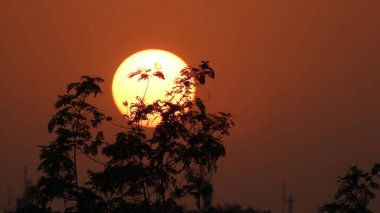 Savana gün batımı, Güzel Tatil Günbatımı, Palmiye Ağaçlı Hamak Silueti. Tropik kumsalda hindistan cevizi palmiyeleri. Siluet günbatımı. Düz ufuk ve ağaçlarla mükemmel renkli günbatımı. Su manzarasında palmiye ağaçları ve insan siluetleri