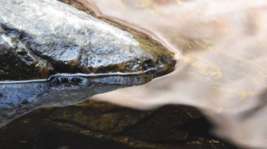 Tepedeki renkli çiçeklerden oluşan güzel bir bahçe. Sonbahar parkında baharda yemyeşil bir bahçe. Yaz Sebzeleri Sırasındaki Konut Bahçesi Bitkileri. Arka bahçede bir çiçek bahçesi. Kiraz Çiçekleri ve Benç. Parktaki patika. Yeşil yapraklı ağaçlar 