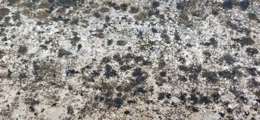 Şelale dokusu siyah arkaplanda izole edilmiş. Vektör gri beton dokusu. Taş duvar arka planı. Eski siyah duvar arka planı. Doku, siyah beyaz duvar, eski grunge doku arka planı. Harika bir arkaplan. Desenli metal yüzey yakın plan