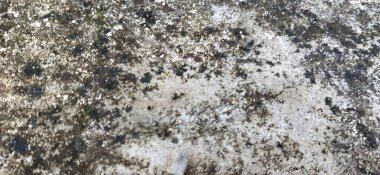 Şelale dokusu siyah arkaplanda izole edilmiş. Vektör gri beton dokusu. Taş duvar arka planı. Eski siyah duvar arka planı. Doku, siyah beyaz duvar, eski grunge doku arka planı. Harika bir arkaplan. Desenli metal yüzey 