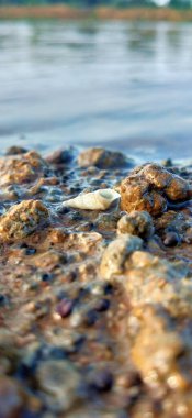 Temiz tatlı suyla nehir yatağındaki kayalar. Deniz suyunda deniz taşları. Suyun altındaki çakıl taşları. Yukarıdan bak. Denizcilik geçmişi. Temiz deniz suyu. Şeffaf deniz. Arka plan gri gri çakıl taşlarından oluşan büyük çakıl taşlarından oluşur. Çakıl taşı 